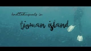 Diving in Tioman Island